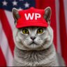 indeliket's profile picture