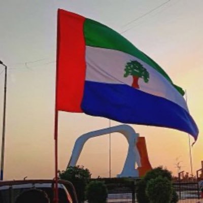 ha_alamodi's profile picture