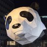 Profilbild von Feng Pan