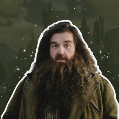 Acervo Hagrid's profile picture
