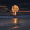 Mohmedcryptoo6's profile picture