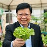 marcolettuce profil fotoğrafı