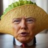 Profilbild von TacoPresident