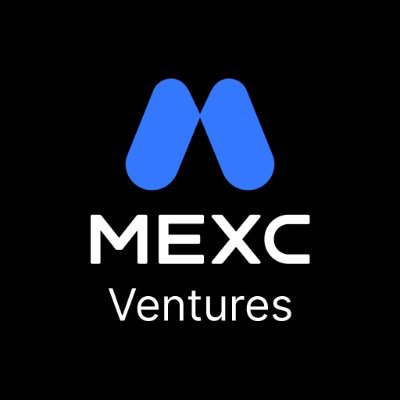 MVenturesLabs's profile picture