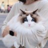 Profilbild von 康熙的朋友