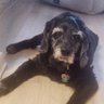 Фото профиля Ohana you will 4 ever be missed 🥰🌈💔😢🙏