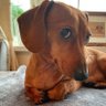 Profilbild von jana