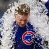 Cubs World 2 profil fotoğrafı