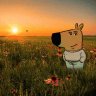 Trần Văn Tình profil fotoğrafı