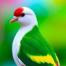 Profilbild von Solaimani