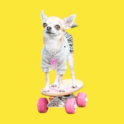 PapicoChannel's profile picture