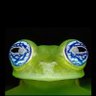 Фото профиля Kermit