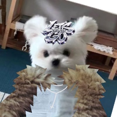merly's profile picture