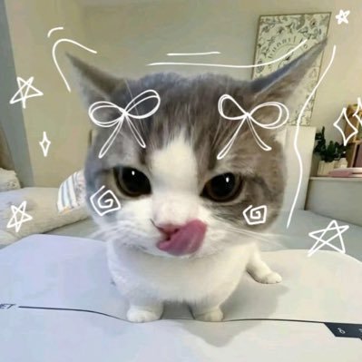tul0nconpalta's profile picture