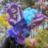 Bluhu's profile picture