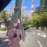 りりBOO 的头像