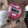 Profilbild von 不要理我
