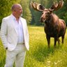 Suchywilk profil fotoğrafı