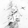 krwns 的头像