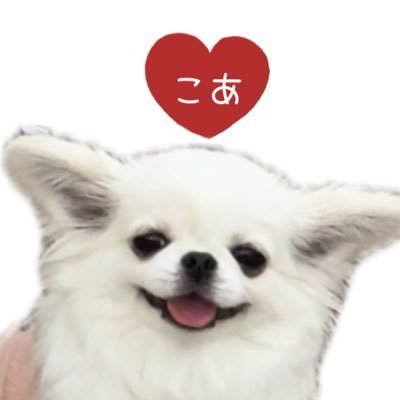 鼻ぺちゃこあちゃん's profile picture