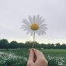 𝒩𝒜𝒲𝒜ℒ profil fotoğrafı