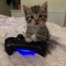 Pyxel's profile picture