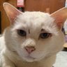 マティ's profile picture