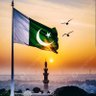 Shafique ahmad's profile picture