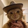 Star's profile picture