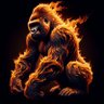 moneyFever profil fotoğrafı