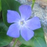 Maria Romero's profile picture
