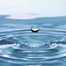 Water's profile picture