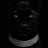 Profilbild von Thabiso
