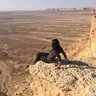 Фото профиля Ameerah Al-Harbi