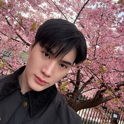 Adão Blzeiro 🧸🇧🇷💜's profile picture