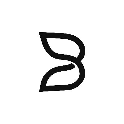 B.AI's profile picture
