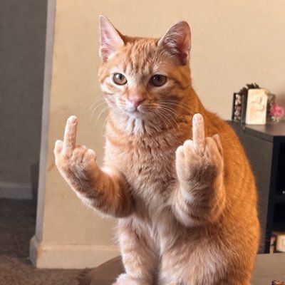 LOVE_Torq_'s profile picture