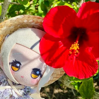 ぐーしゃ's profile picture