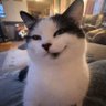 Milk_Dry's profile picture