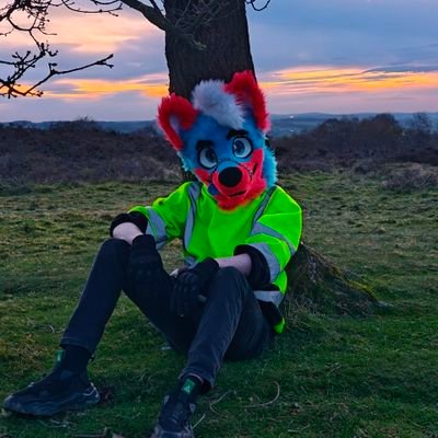 femboyblu's profile picture