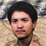 شیرو's profile picture