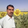Illahi Bux Soomro profil fotoğrafı