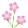 にいちゃん 的头像