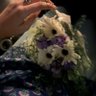 Profilbild von A