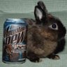 Profilbild von jaenkiss