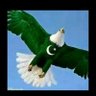 Profilbild von Asad khan
