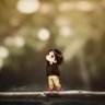 Profilbild von أثنى من دونك