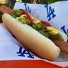 DODGER DOG ENJOYER profil fotoğrafı