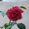 Фото профиля jeanne682
