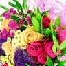 Profilbild von 花儿